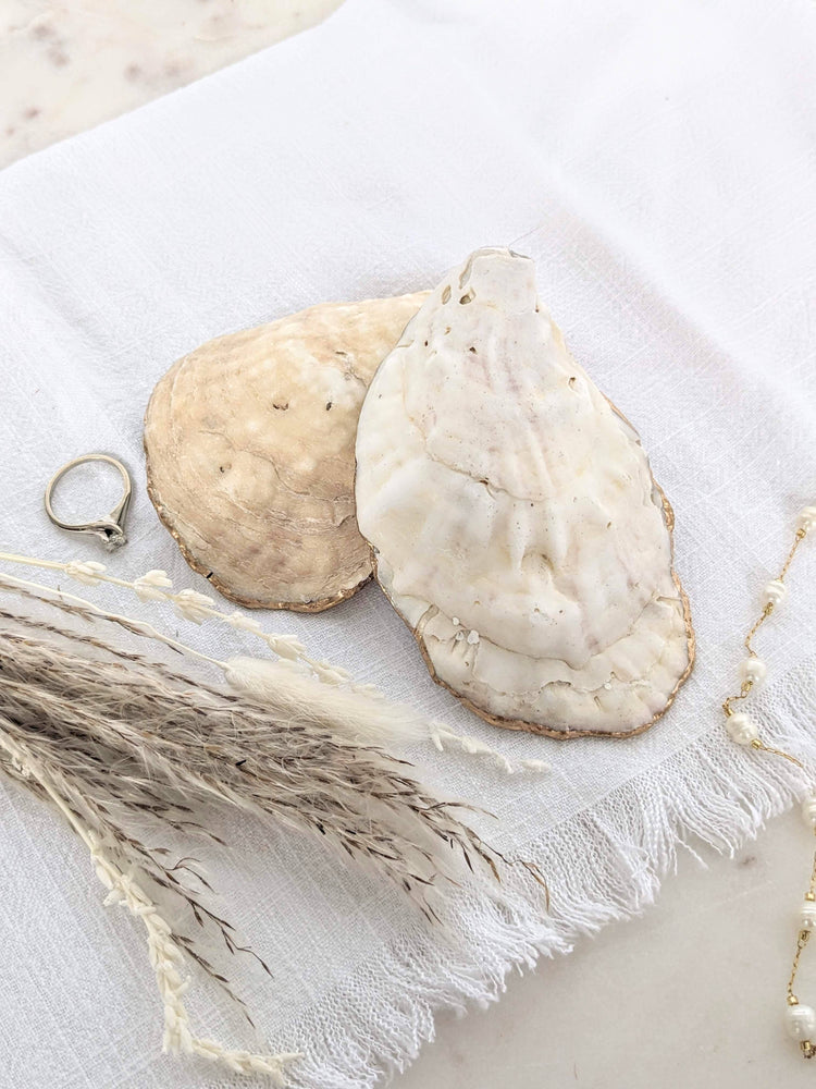 Chinoiserie Blue & White Oyster Shell Ring Dish in Paisley