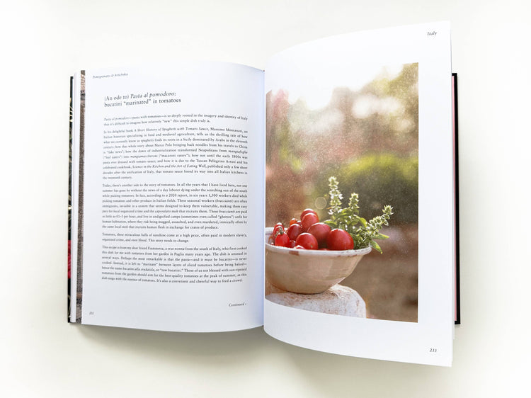 Pomegranates and Artichokes by Saghar Setareh: Hardcover; 289 pages / English