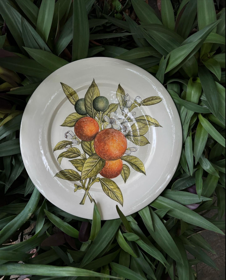 Hand Painted Botanical Dinner Plate in Orange