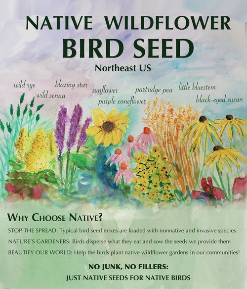 Native Wildflower Bird Seed 1lb