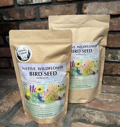 Native Wildflower Bird Seed 1lb