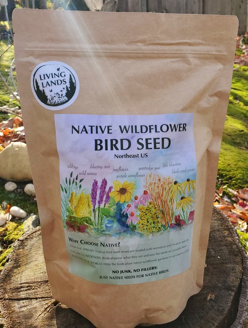 Native Wildflower Bird Seed 1lb