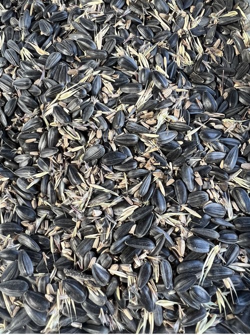 Native Wildflower Bird Seed 1lb