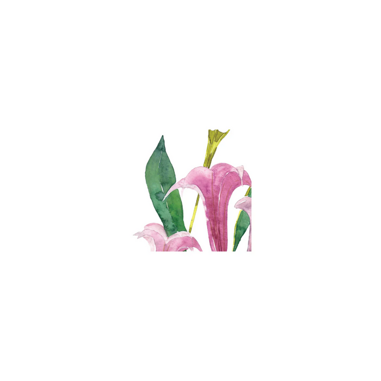 Datura Tablecloth 160x220 Large Floral Table Linen