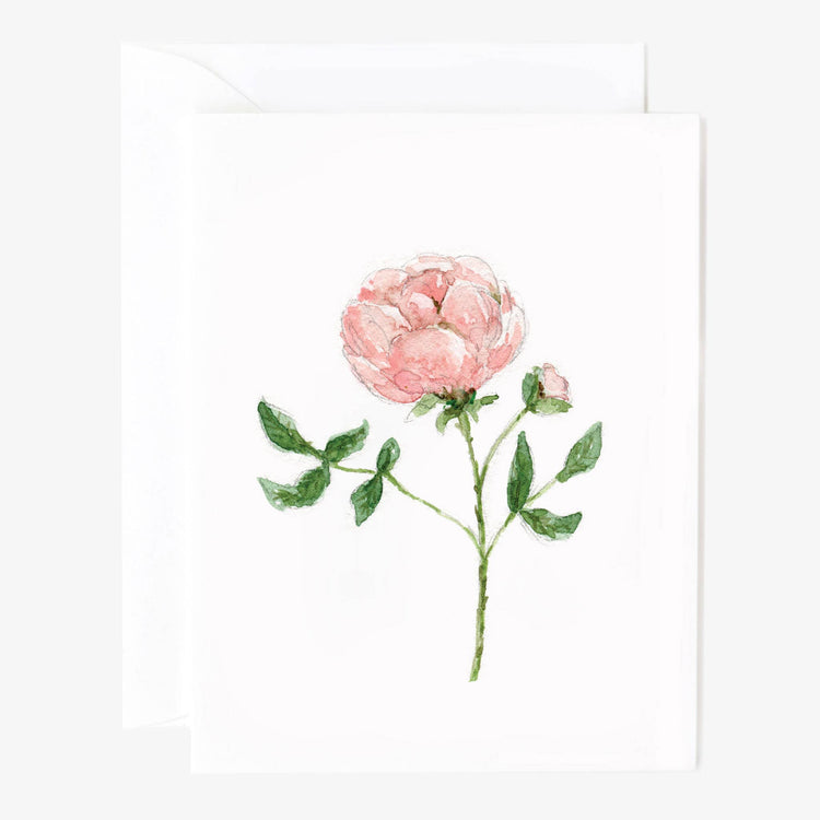 Garden rose notecards