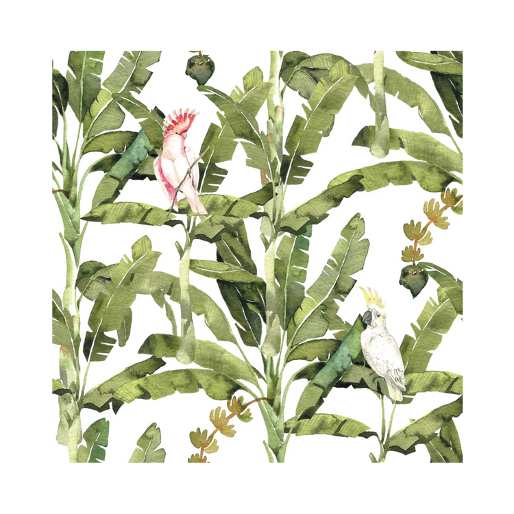 Amazonas napkins, set of 4, featuring a bold and artistic pattern