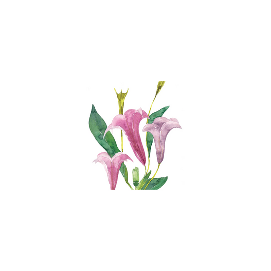 Datura 87x87 inch tablecloth, featuring a bold floral print on a high-quality fabric, displayed on a dining table