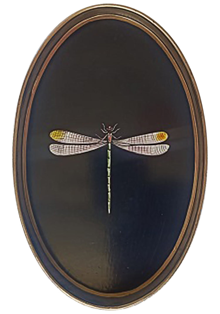 Decorative iron tray, black dragonfly by Les Ottomans