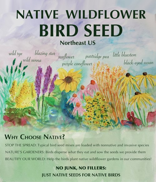 Native Wildflower Bird Seed-2 lb