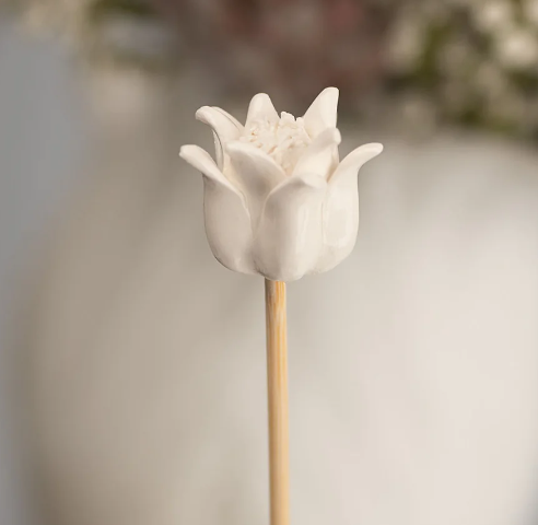 Diffuser, African Porcelain Flower, Blushing Bride